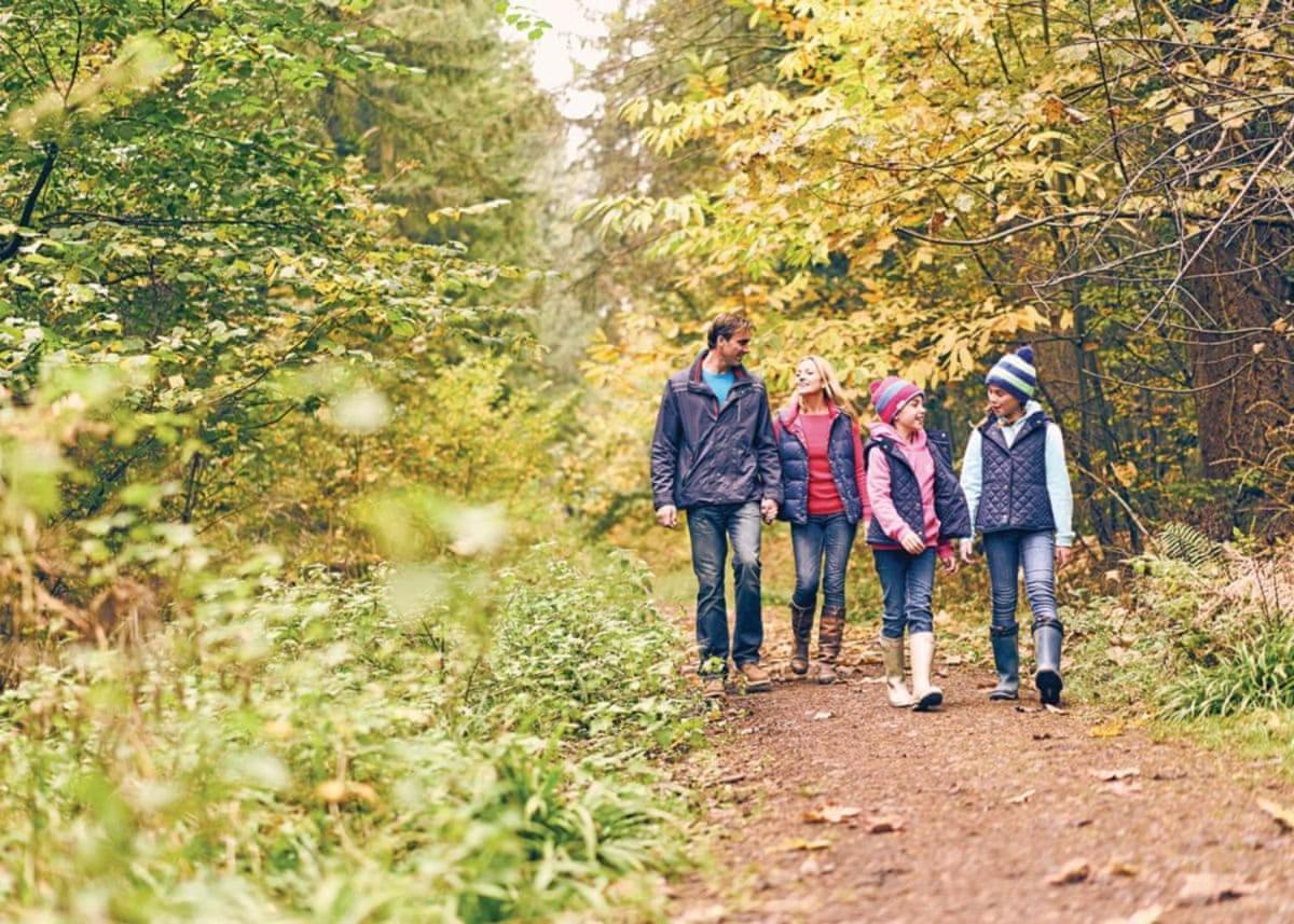 Whitemead Forest Park 호텔 파켄드 외부 사진