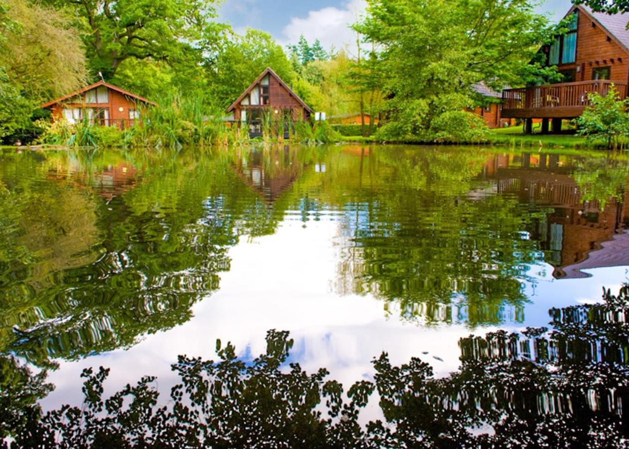 Whitemead Forest Park 호텔 파켄드 외부 사진